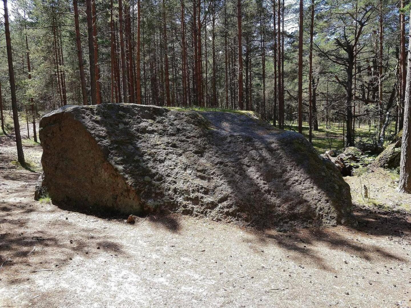 Norwegian Saunahouse Haapse Exterior photo
