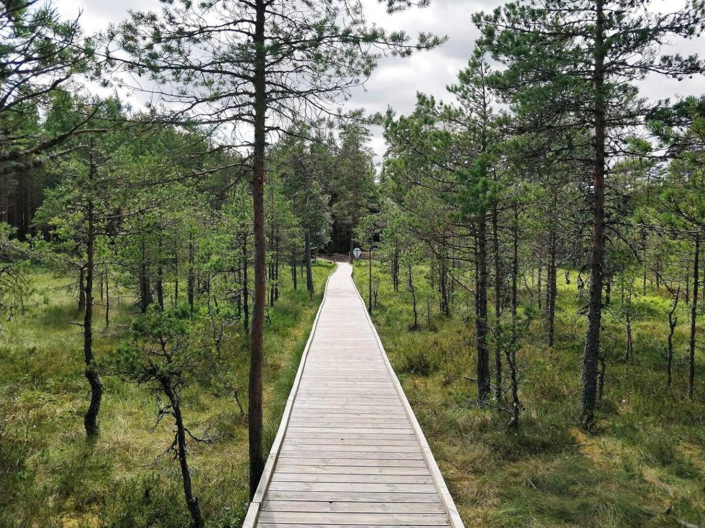 Norwegian Saunahouse Haapse Exterior photo
